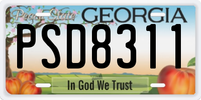 GA license plate PSD8311
