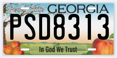 GA license plate PSD8313
