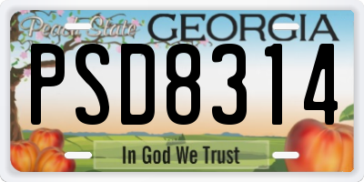 GA license plate PSD8314