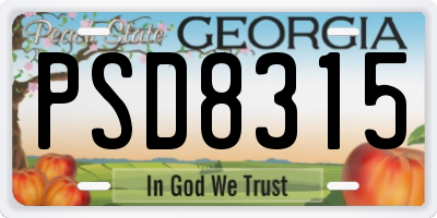 GA license plate PSD8315