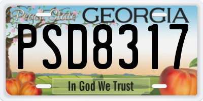 GA license plate PSD8317