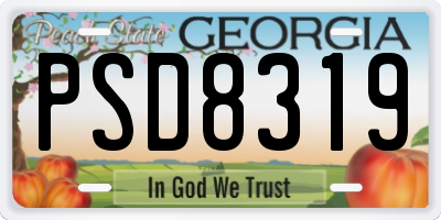 GA license plate PSD8319