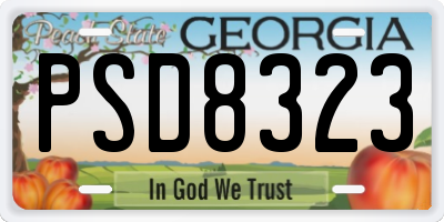 GA license plate PSD8323