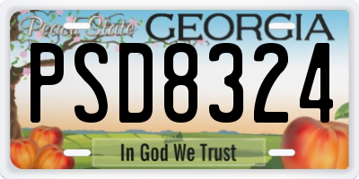 GA license plate PSD8324