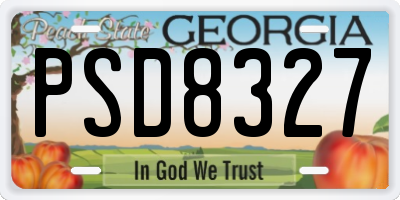 GA license plate PSD8327