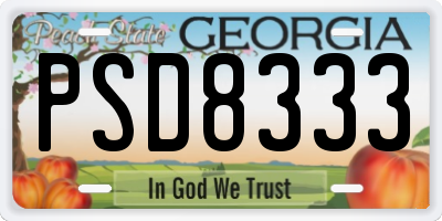 GA license plate PSD8333