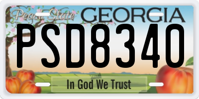 GA license plate PSD8340