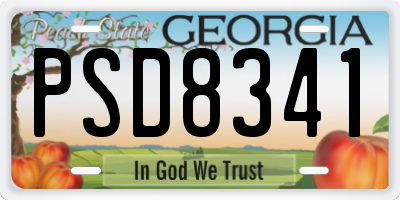 GA license plate PSD8341