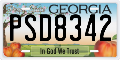 GA license plate PSD8342