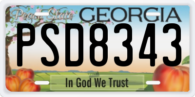 GA license plate PSD8343