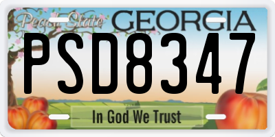 GA license plate PSD8347