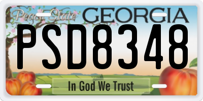 GA license plate PSD8348