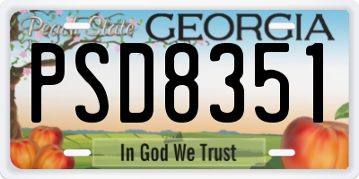 GA license plate PSD8351