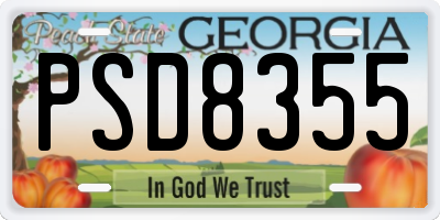 GA license plate PSD8355