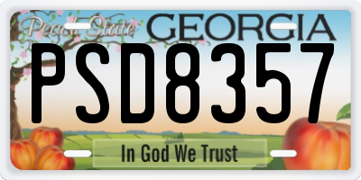 GA license plate PSD8357