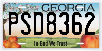 GA license plate PSD8362