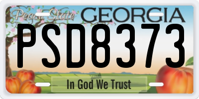 GA license plate PSD8373