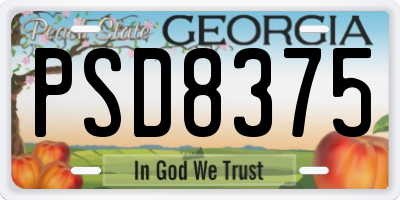 GA license plate PSD8375