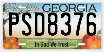 GA license plate PSD8376