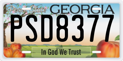 GA license plate PSD8377