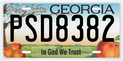 GA license plate PSD8382