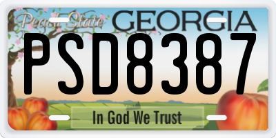 GA license plate PSD8387