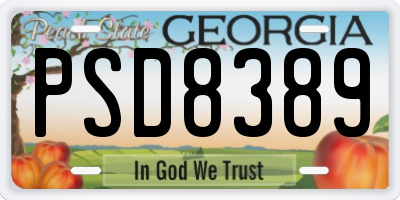 GA license plate PSD8389