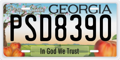 GA license plate PSD8390