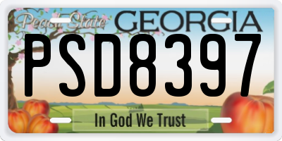 GA license plate PSD8397