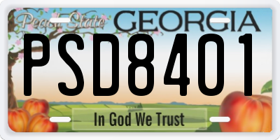 GA license plate PSD8401