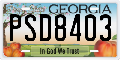 GA license plate PSD8403