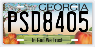 GA license plate PSD8405