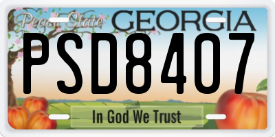 GA license plate PSD8407