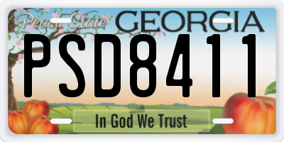 GA license plate PSD8411