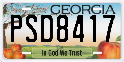 GA license plate PSD8417