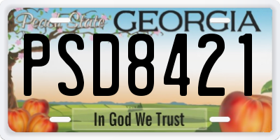GA license plate PSD8421