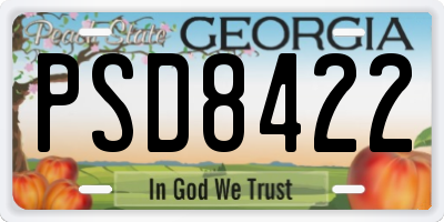 GA license plate PSD8422