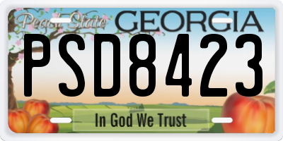 GA license plate PSD8423