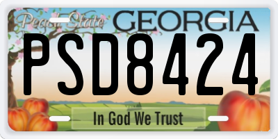 GA license plate PSD8424