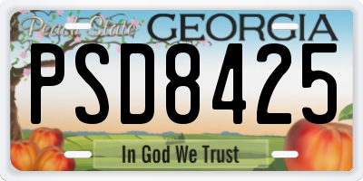 GA license plate PSD8425