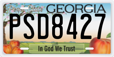 GA license plate PSD8427
