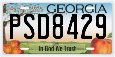 GA license plate PSD8429