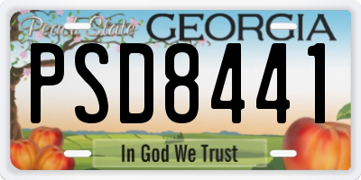GA license plate PSD8441