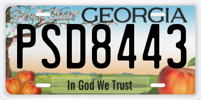 GA license plate PSD8443