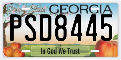 GA license plate PSD8445