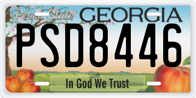GA license plate PSD8446