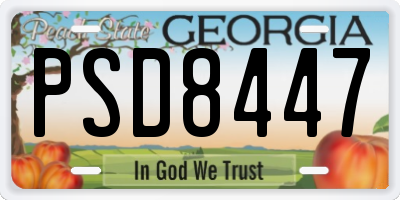 GA license plate PSD8447