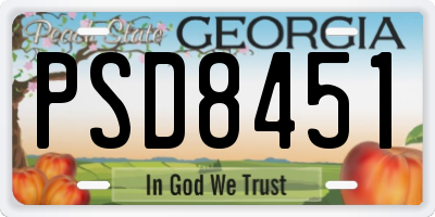 GA license plate PSD8451