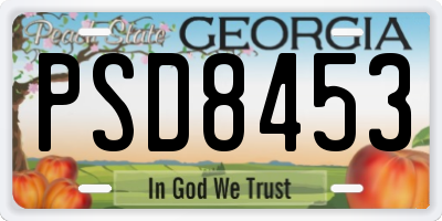 GA license plate PSD8453