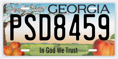 GA license plate PSD8459